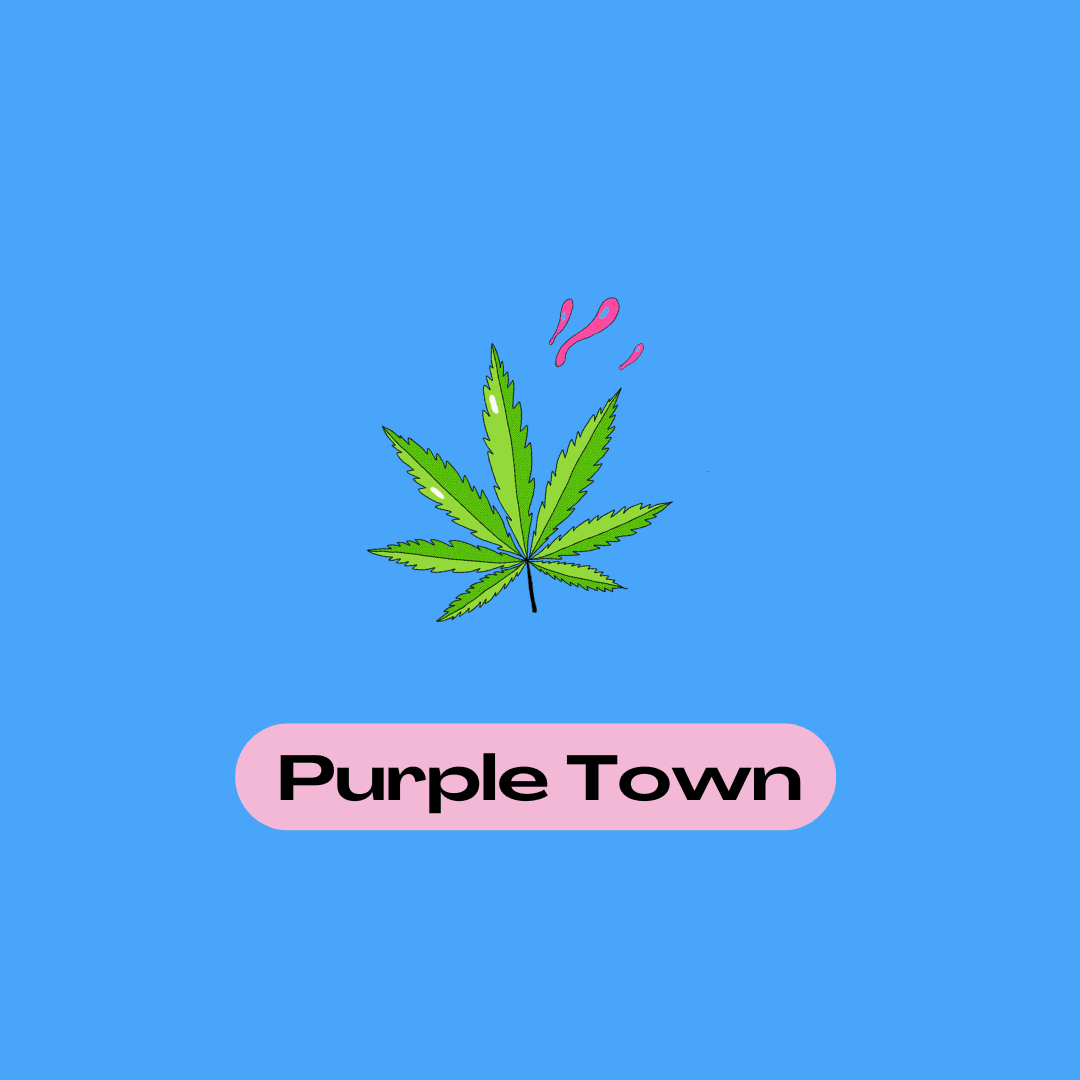 crips-webinaire-purpletown-janvier-2025